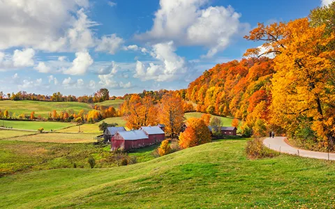 Farms for Sale